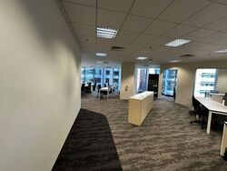 PLUS (D1), Office #556235761